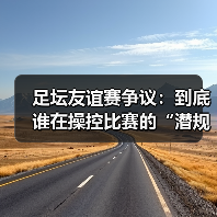 足坛友谊赛争议：到底谁在操控比赛的“潜规则”？（图3）