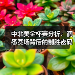 中北美金杯赛分析：洞悉赛场背后的制胜密码（图3）