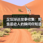 挖掘足坛动人瞬间：系统性收集球迷故事的秘诀-云溯流林肯城足球粉丝俱乐部