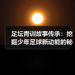 足坛青训传承揭秘：个性化培养点燃绿茵传奇-云溯流林肯城足球粉丝俱乐部