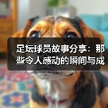 足坛球员故事分享：那些令人感动的瞬间与成长（图2）