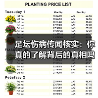 足坛伤病传闻核实：你真的了解背后的真相吗？