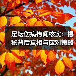 足坛伤病传闻核实全解析：科学方法与真相洞察-云溯流林肯城足球粉丝俱乐部