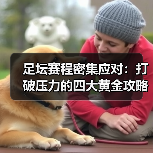 足坛赛程密集应对：打破压力的四大黄金攻略（图2）