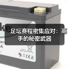 足坛赛程密集应对：科学策略提升竞技状态-云溯流林肯城足球粉丝俱乐部