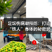 足坛伤病潮预防：打造“铁人”身体的秘密武器