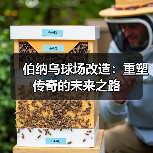 伯纳乌球场升级：科技环保重塑观赛体验-云溯流林肯城足球粉丝俱乐部