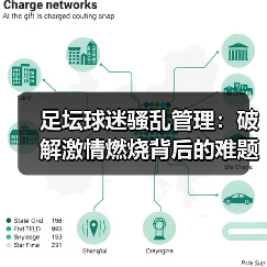 如何高效管理足坛球迷骚乱：策略与技术双重保障-云溯流林肯城足球粉丝俱乐部