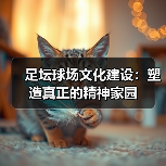 足坛球场文化建设：塑造真正的精神家园（图4）