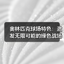 奥运球场创新设计：可持续科技与文化融合-云溯流林肯城足球粉丝俱乐部