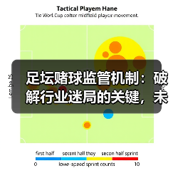 足坛赌球监管机制：破解行业迷局的关键，未来可期（图3）