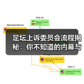 足坛上诉委员会流程揭秘：你不知道的内幕与实操技巧（图4）