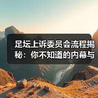 足坛上诉委员会流程揭秘：你不知道的内幕与实操技巧（图2）