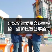 足坛纪律委员会职责揭秘：维护比赛公平的守门人（图2）