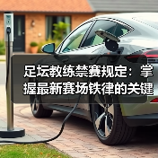 足坛教练禁赛规定：掌握最新赛场铁律的关键指南（图2）
