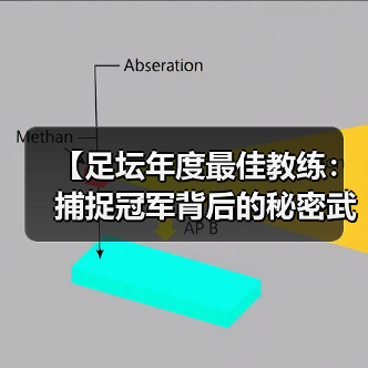 【足坛年度最佳教练：捕捉冠军背后的秘密武器】（图3）