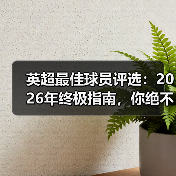 英超最佳球员评选:2026年终极指南,你绝不能错过的内幕(图3) 英超最佳球员评选:2026年终极指南,你绝不能错过的内幕(图3)