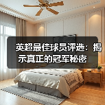 英超最佳球员评选:揭示真正的冠军秘密(图3) 英超最佳球员评选:揭示真正的冠军秘密(图3)