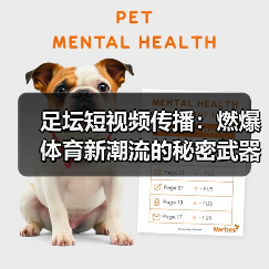 足坛短视频传播:燃爆体育新潮流的秘密武器(图2) 足坛短视频传播:燃爆体育新潮流的秘密武器(图2)