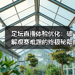 足坛直播体验优化：破解观赛难题的终极秘籍（图2）