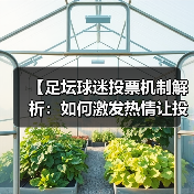 【足坛球迷投票机制解析:如何激发热情让投票更公平】(图2) 【足坛球迷投票机制解析:如何激发热情让投票更公平】(图2)
