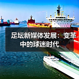 足坛新媒体发展：变革中的球迷时代（图4）