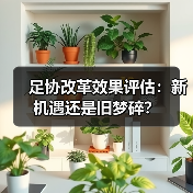 足协改革效果评估:新机遇还是旧梦碎?(图3) 足协改革效果评估:新机遇还是旧梦碎?(图3)
