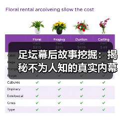 足坛幕后故事挖掘:揭秘不为人知的真实内幕(图4) 足坛幕后故事挖掘:揭秘不为人知的真实内幕(图4)