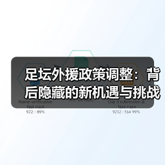 足坛外援政策调整:背后隐藏的新机遇与挑战(图4) 足坛外援政策调整:背后隐藏的新机遇与挑战(图4)