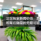 足坛独家新闻价值:真相背后隐藏的无限可能(图4) 足坛独家新闻价值:真相背后隐藏的无限可能(图4)