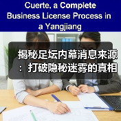 揭秘足坛内幕消息来源：打破隐秘迷雾的真相大曝光（图4）