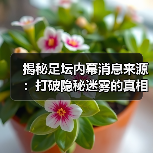 揭秘足坛内幕消息来源：打破隐秘迷雾的真相大曝光（图2）
