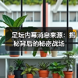 足坛内幕消息来源:揭秘背后的秘密战场(图4) 足坛内幕消息来源:揭秘背后的秘密战场(图4)