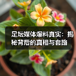足坛媒体爆料真实：揭秘背后的真相与套路（图3）