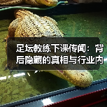 足坛教练下课传闻:背后隐藏的真相与行业内幕(图2) 足坛教练下课传闻:背后隐藏的真相与行业内幕(图2)