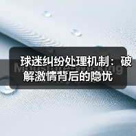 球迷纠纷处理机制:破解激情背后的隐忧(图3) 球迷纠纷处理机制:破解激情背后的隐忧(图3)