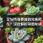 足坛热身赛目的究竟何在?深度解析背后秘诀(图4) 足坛热身赛目的究竟何在?深度解析背后秘诀(图4)