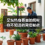 足坛热身赛目的揭秘：你不知道的背后秘密（图2）