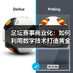 足坛赛事商业化:如何利用数字技术打造黄金产业链?(图2) 足坛赛事商业化:如何利用数字技术打造黄金产业链?(图2)