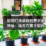 如何打造卓越的更衣室领袖:培养方案全解析(图3) 如何打造卓越的更衣室领袖:培养方案全解析(图3)