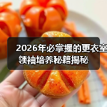 2026年必掌握的更衣室领袖培养秘籍揭秘（图2）
