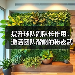 提升球队副队长作用：激活团队潜能的秘密武器