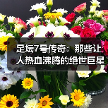 足坛7号传奇:那些让人热血沸腾的绝世巨星(图4) 足坛7号传奇:那些让人热血沸腾的绝世巨星(图4)