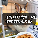 球员工具人角色:被低估的战术核心力量?(图3) 球员工具人角色:被低估的战术核心力量?(图3)