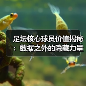 足坛核心球员价值揭秘:数据之外的隐藏力量(图2) 足坛核心球员价值揭秘:数据之外的隐藏力量(图2)