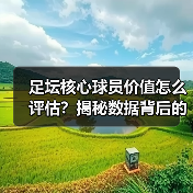足坛核心球员价值怎么评估?揭秘数据背后的真正关键(图4) 足坛核心球员价值怎么评估?揭秘数据背后的真正关键(图4)