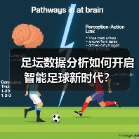 足坛数据分析如何开启智能足球新时代?(图2) 足坛数据分析如何开启智能足球新时代?(图2)
