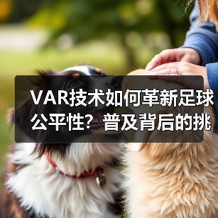 VAR技术如何革新足球公平性?普及背后的挑战与未来(图3) VAR技术如何革新足球公平性?普及背后的挑战与未来(图3)