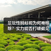 足坛性别歧视为何难根除?实力能否打破偏见?(图4) 足坛性别歧视为何难根除?实力能否打破偏见?(图4)