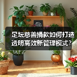 足坛慈善捐款如何打造透明高效新管理模式?(图4) 足坛慈善捐款如何打造透明高效新管理模式?(图4)